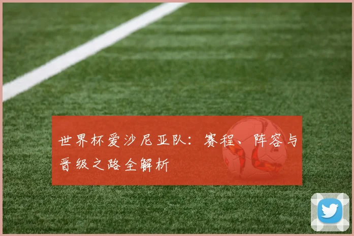 世界杯爱沙尼亚队：赛程、阵容与晋级之路全解析
