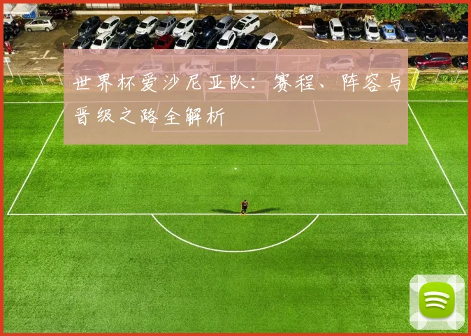 世界杯爱沙尼亚队:赛程、阵容与晋级之路全解析