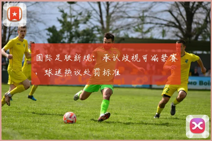 国际足联新规:承认歧视可减禁赛,球迷热议处罚标准